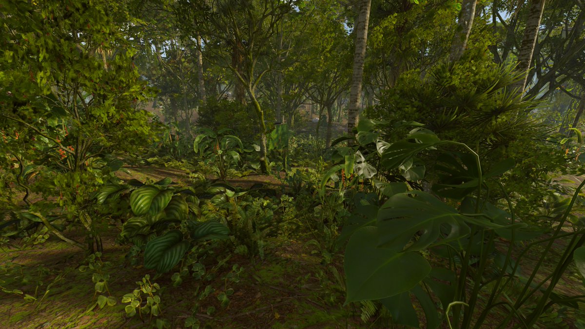 Monstera tweet media