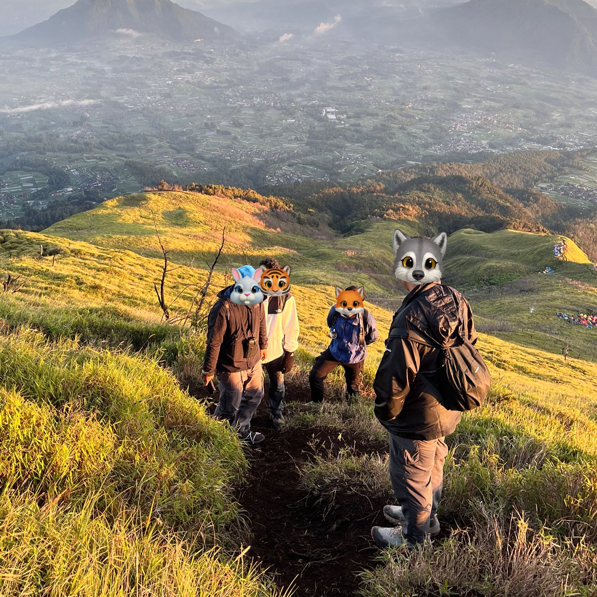 smirnofficepink's tweet photo. Kegiatan cwo yg blom kebagian nomer antrian KUA #mtmerbabu https://t.co/eByqyHXsJt