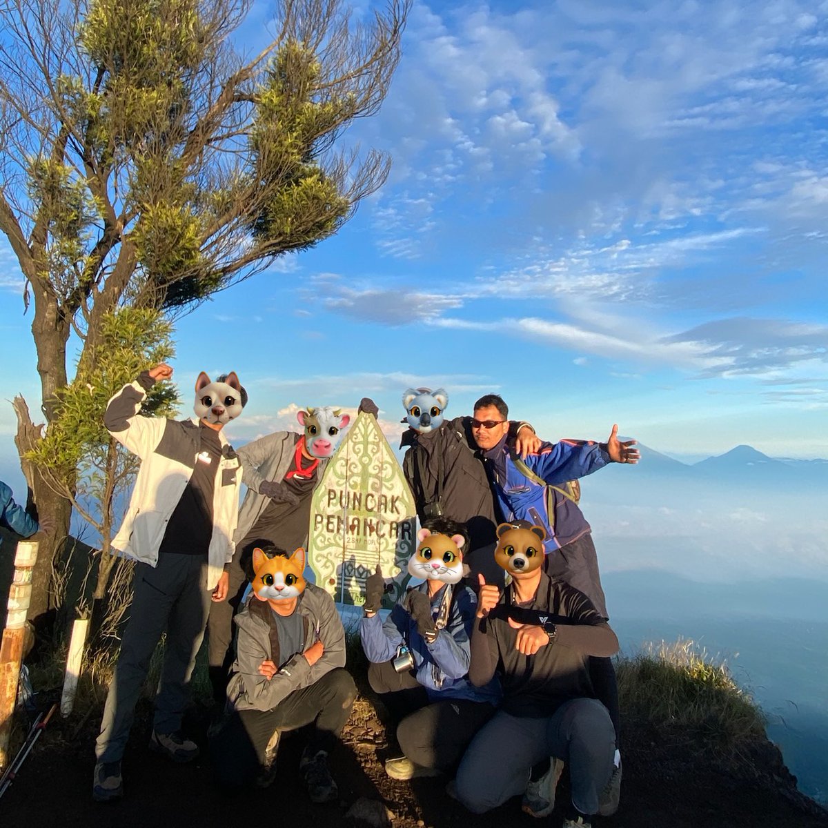 smirnofficepink's tweet photo. Kegiatan cwo yg blom kebagian nomer antrian KUA #mtmerbabu https://t.co/eByqyHXsJt