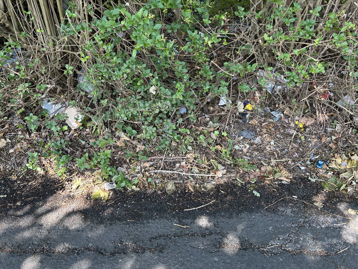 ZafarC's tweet image. Back from holiday yesterday straight into case work today anti social behaviour in shuttleworth road, HMO issues, fly tipping,two SEND cases education health plans, pot holes faded yellow lines rubbish in the bushes, single mum with four children facing racism.