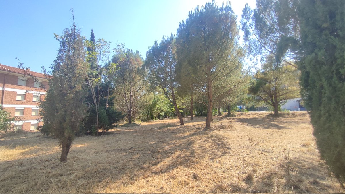 Associacioveins's tweet image. ☑️ Fa unes setmanes es va començar a netejar el terreny ajardinat tocant entre la fabrica de dalt i els pisos dels carrers Jardí i Sant Josep amb un tractor desbrossadora hi ha quedat ben net. Agraïm a la Propietat de Colònia Prat tota la feina que fan dins la colònia 👏👏👏👏