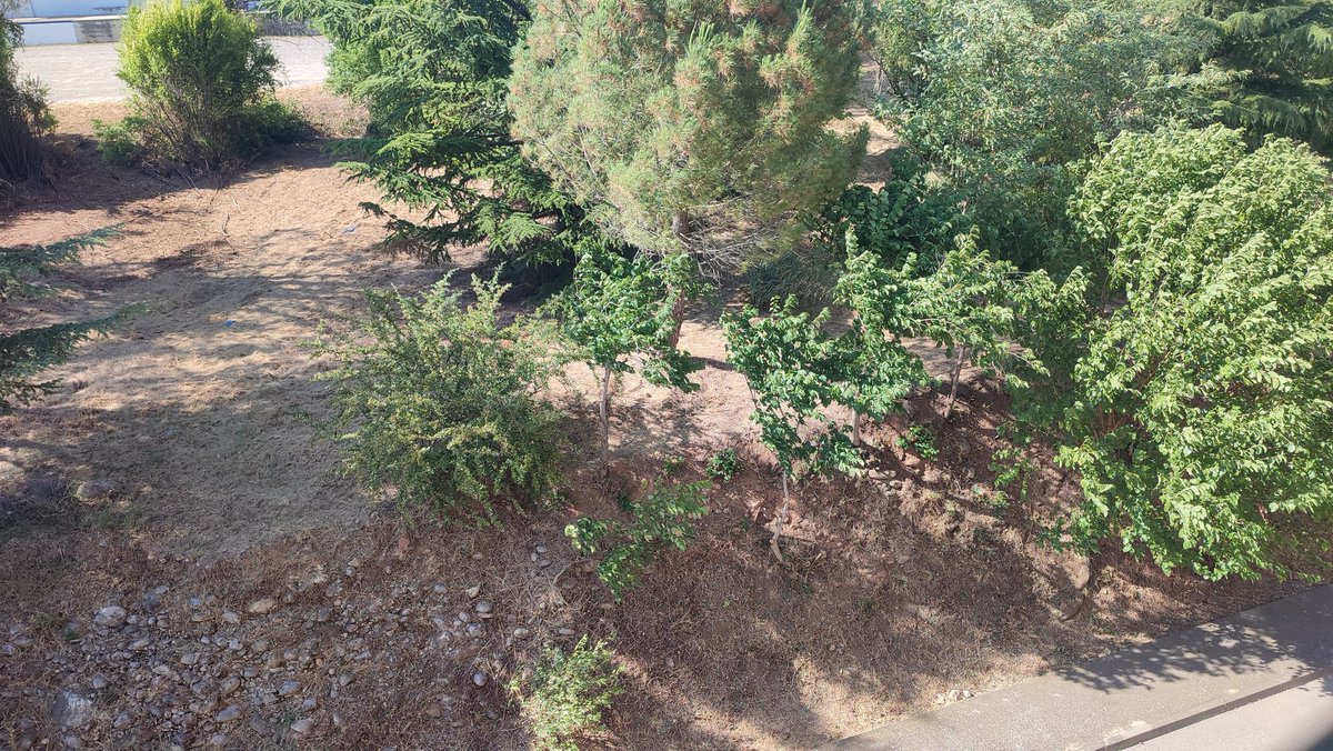 Associacioveins's tweet image. ☑️ Fa unes setmanes es va començar a netejar el terreny ajardinat tocant entre la fabrica de dalt i els pisos dels carrers Jardí i Sant Josep amb un tractor desbrossadora hi ha quedat ben net. Agraïm a la Propietat de Colònia Prat tota la feina que fan dins la colònia 👏👏👏👏
