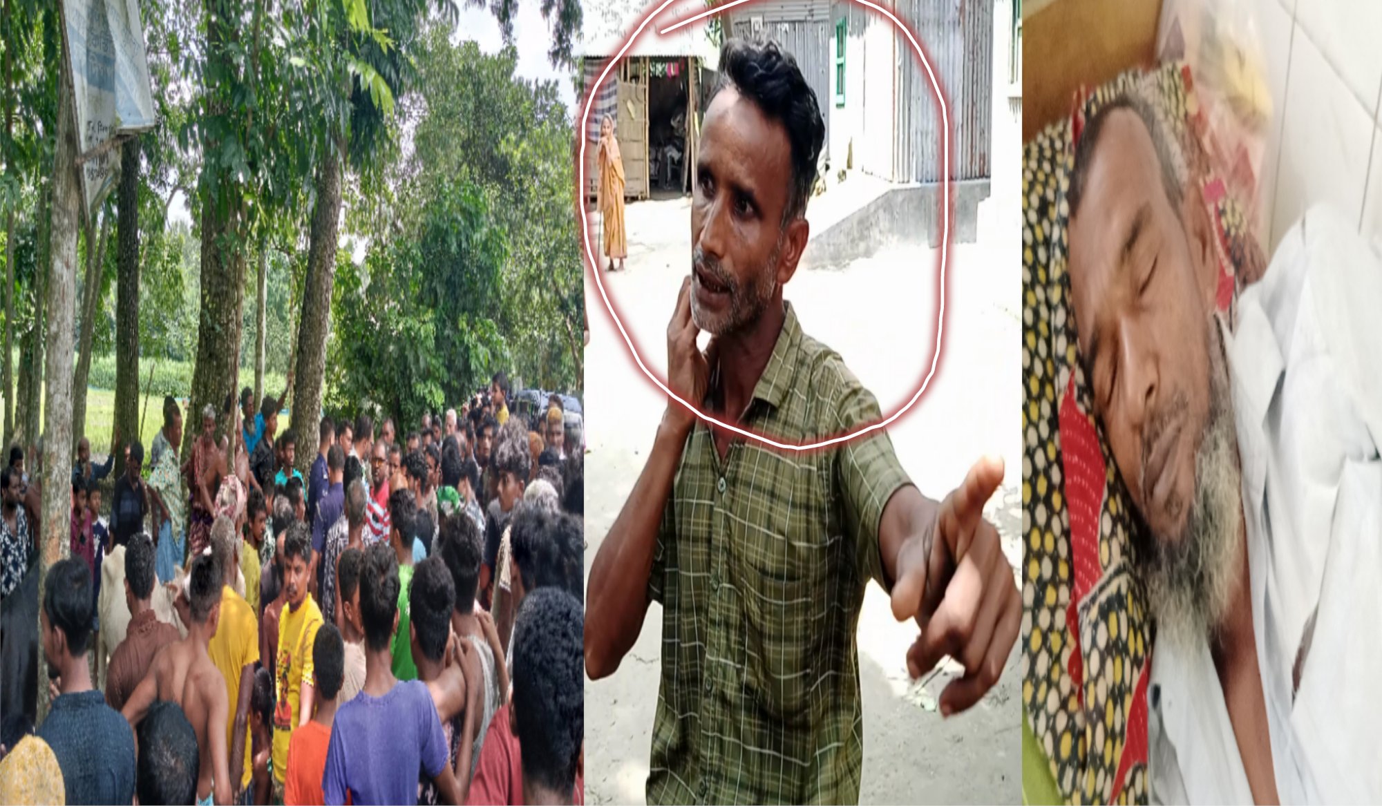 সরিষাবাড়ীতে গরু চুরির প্রতিবাদ করায় মারপিট, আহত ২