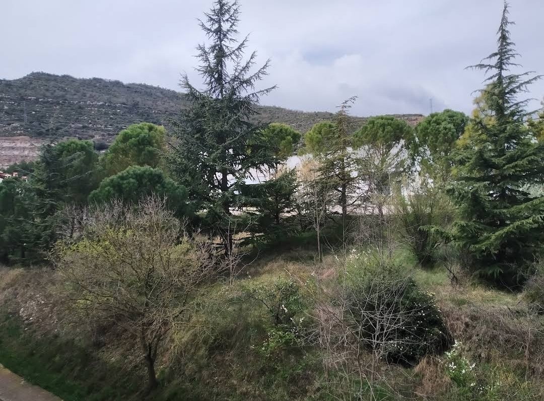 Associacioveins's tweet image. ☑️ Fa unes setmanes es va començar a netejar el terreny ajardinat tocant entre la fabrica de dalt i els pisos dels carrers Jardí i Sant Josep amb un tractor desbrossadora hi ha quedat ben net. Agraïm a la Propietat de Colònia Prat tota la feina que fan dins la colònia 👏👏👏👏