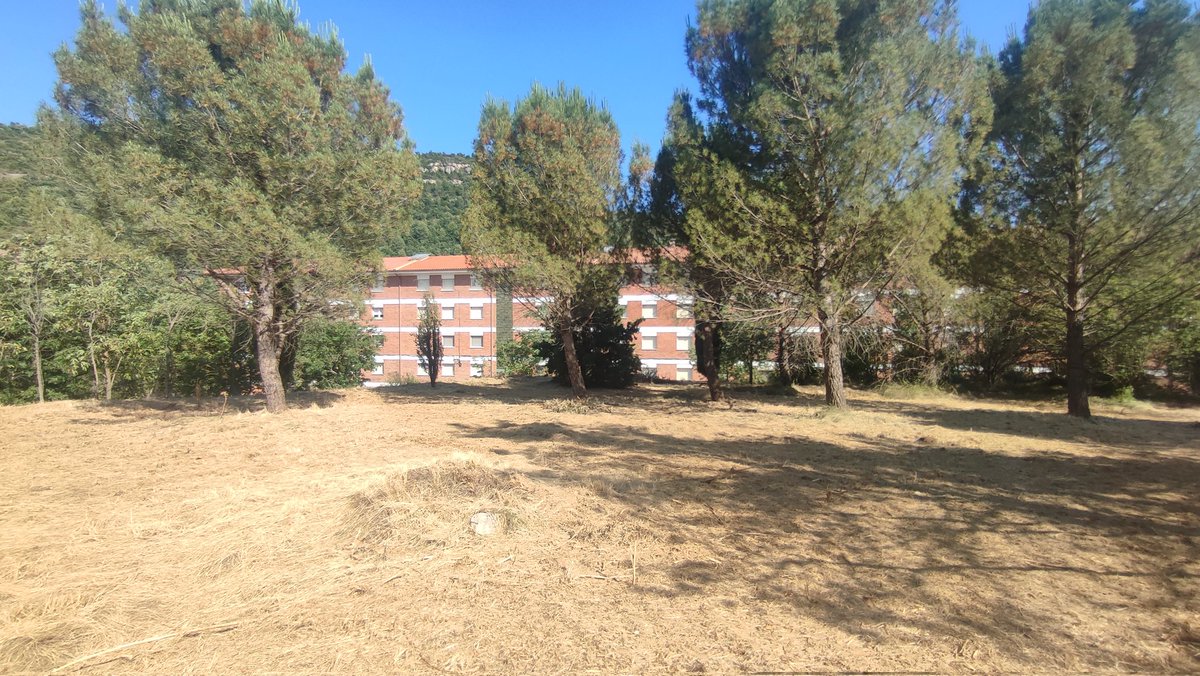 Associacioveins's tweet image. ☑️ Fa unes setmanes es va començar a netejar el terreny ajardinat tocant entre la fabrica de dalt i els pisos dels carrers Jardí i Sant Josep amb un tractor desbrossadora hi ha quedat ben net. Agraïm a la Propietat de Colònia Prat tota la feina que fan dins la colònia 👏👏👏👏