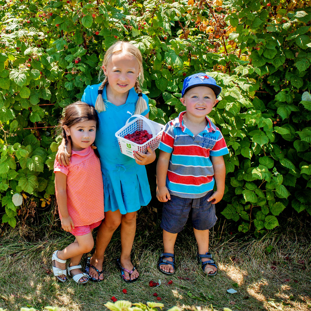 From field to basket—it doesn't get fresher than this 🌽🍓 #BarrieHillFarms is the perfect countryside escape for sweet summer memories! See what's in season and ready to pick > loom.ly/gdX2HN0

📍Barrie Hill Farms, 2935 Barrie Hill Rd., Springwater