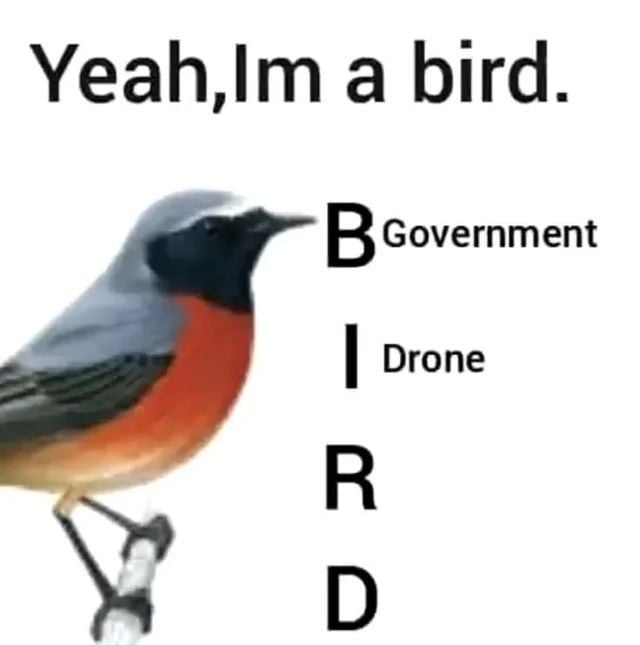 hourly_shitpost's tweet photo. https://t.co/4iKNPjZg4V