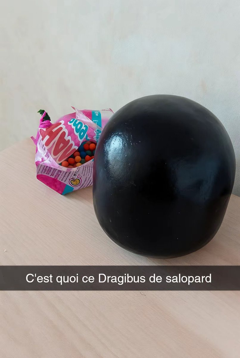 DjibinhoPvris_'s tweet photo. Ptdrr c’est un Dragibus ou un crâne de comorien ?? 🤣🤣 https://t.co/CQUIlTAQ6i