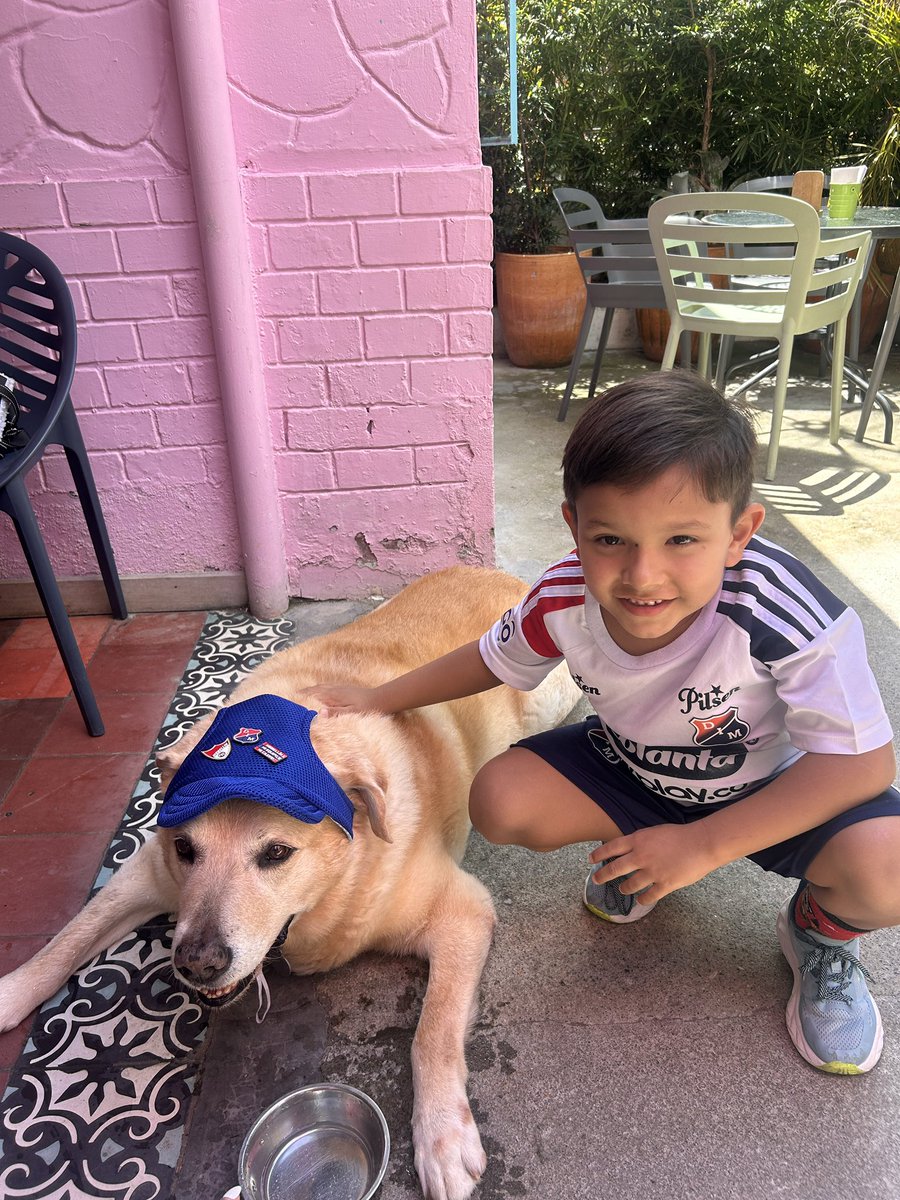 ¡Vamos los rojos! 

<a href="/Fidel_DIM/">Fidel DIM</a> 💙❤️