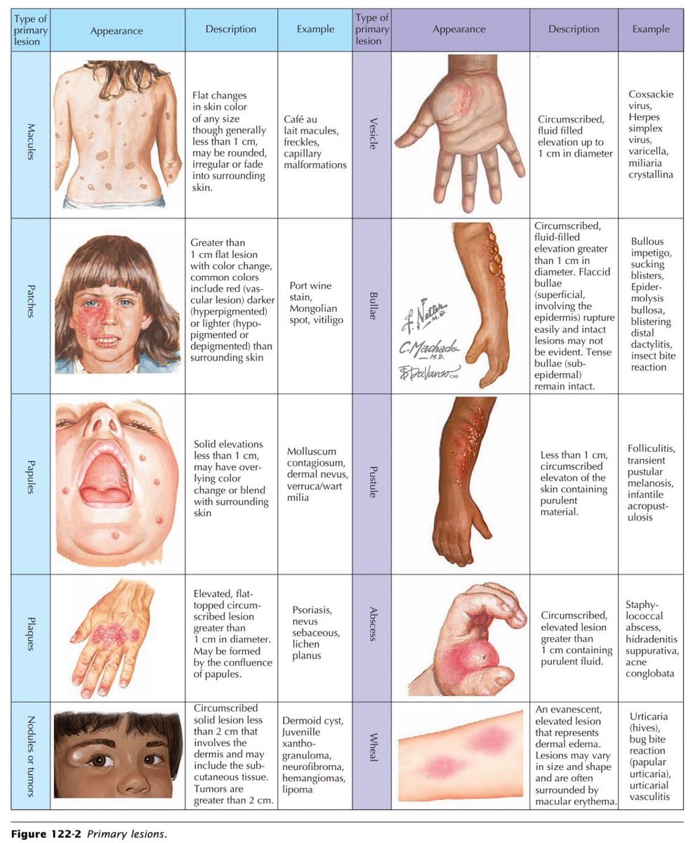 Skin lesions