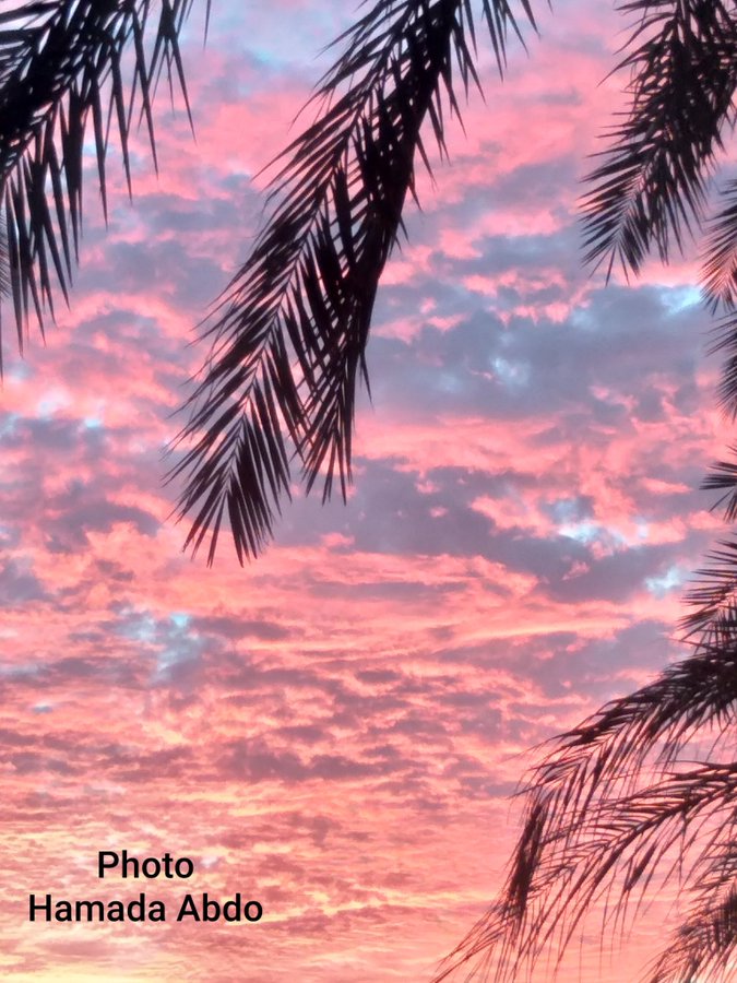 !! إليك يا مولاي ... فأنت الحاكم العالم الشكوى وانت الذي تدري بالسرائر والنجوى ... قيد لنا رزقا حلالا بلا عناء...وترزقنا العلم الشريف مع التقوى...وتحفظنا من شر خلقك والبلاء...ومن شر شيطاني ونفسي وما تهوى...وتدخلنا يا ربنا جنة المأوى...وتقبضني عند الممات موحدا .!💙
#تصويري