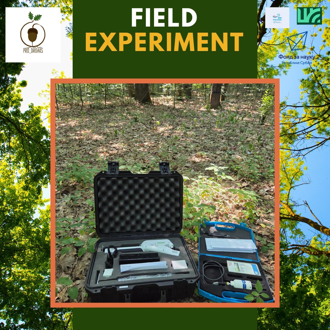 pro_droaks's tweet photo. 🌳 Field trials in full swing!
 We’ve established experimental plots at four key forest sites:
 📍 Majdanpečka domena (Eastern Serbia)
 📍 Vraćevšnica &amp; Žiča (Central Serbia)
 📍 Cer (Western Serbia)
🌱 Germination success evaluated!
@fondzanauku_rs #promis2023 https://t.co/2CXE81m0mE