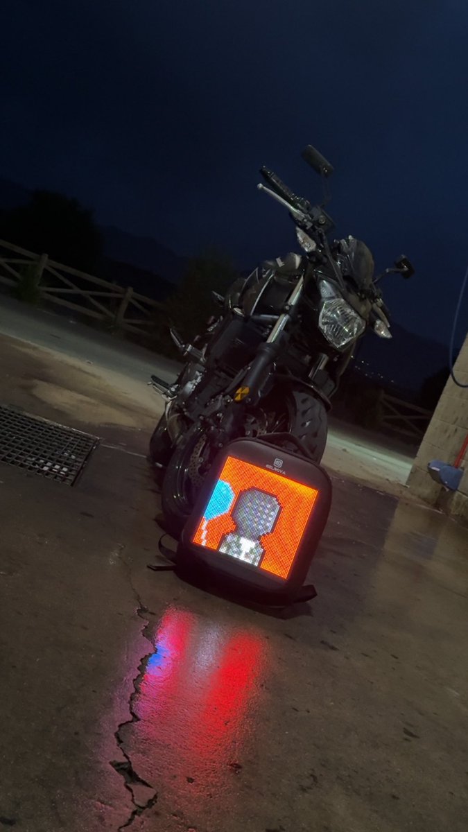 A beast spotted in the wild 🤪