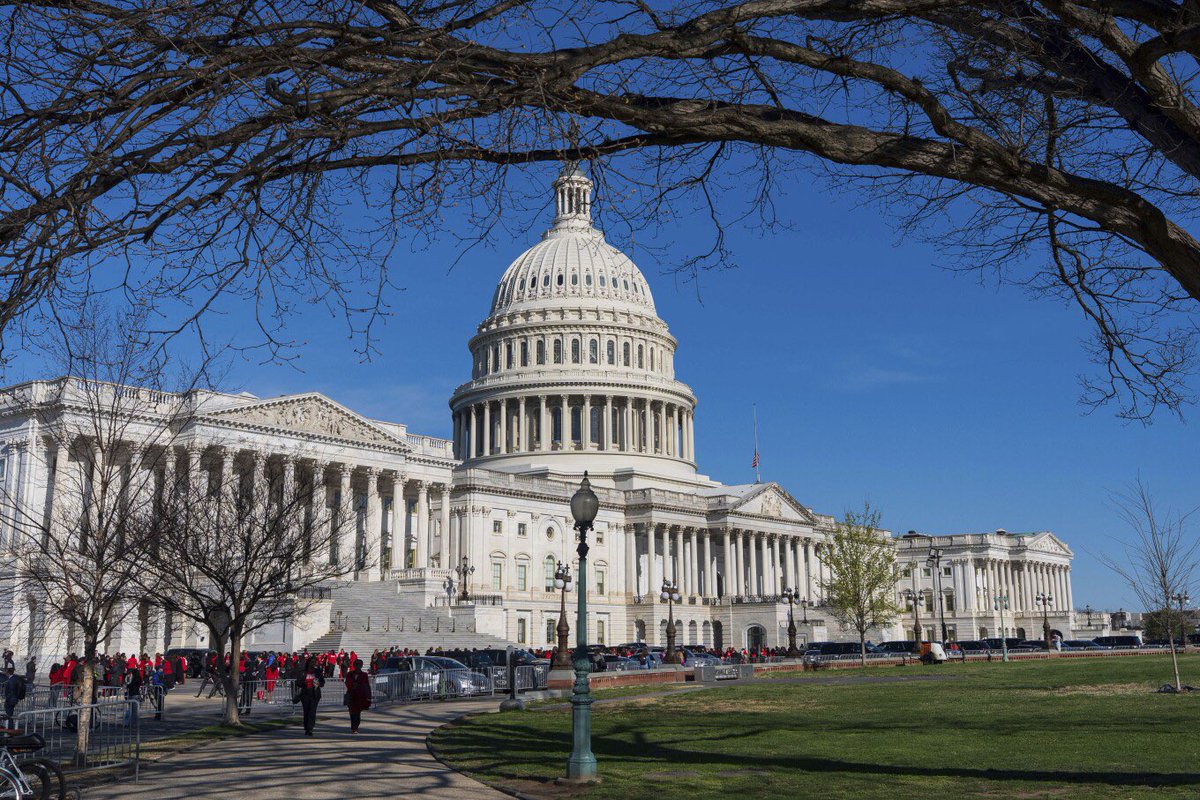 Lisa Mascaro (@lisamascaro) on Twitter photo It takes a long time to read Trump's 940-page, foot-high bill aloud. Democrats are counting on it
w/ <a href="/APkfreking/">Kevin Freking</a> <a href="/Cappelletti7/">Joey Cappelletti</a> apnews.com/article/senate… It takes a long time to read Trump's 940-page, foot-high bill aloud. Democrats are counting on it
w/ <a href="/APkfreking/">Kevin Freking</a> <a href="/Cappelletti7/">Joey Cappelletti</a> apnews.com/article/senate…