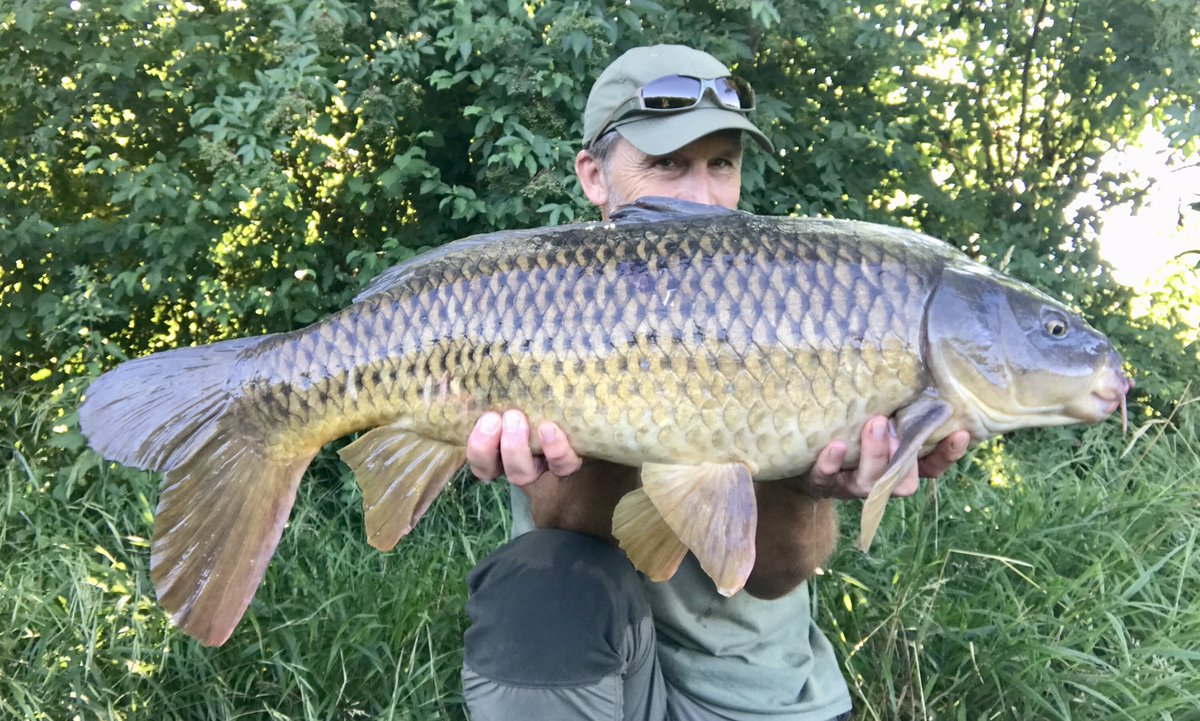 Early first bite and we’re off the mark 🚀 21lb-4oz of power too warm the carbon up 🥵💨💨
Now where’s that black common 🙏🏽🐳
#bigladinfrance 
#bigcarpculture 
#lovelytimes 
#skerkro 
#mtcbaitsofficial