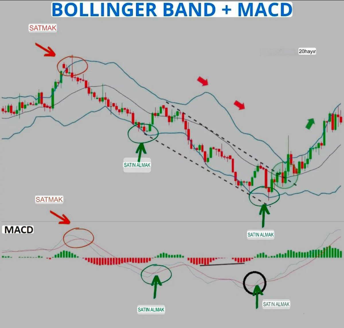 ADIM ADIM BOLLİNGER VE MACD KOMBİNASYONU İLE NASIL TRADE EDİLİR.

📈 Bollinger Band + MACD: En Güçlü Kombinasyon! 

Teknik analizde Bollinger Bantları ve MACD göstergesi birlikte kullanıldığında yüksek doğrulukta alım ve satım sinyalleri üretir! 🚀

Bu yazıda, karlılığı artıran