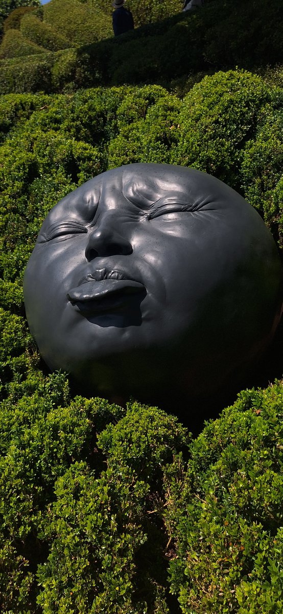 Zurück aus dem Urlaub in der Normandie, einer interessanten, vielseitigen Gegend.
Der steinige Strand und die Klippen von Étretat, das schiefe Haus von Rouen, eine verfallene Batterie des Westwalls, eine Skulptur im Jardin d'Étretat.
Französisch wird plötzlich viel interessanter.