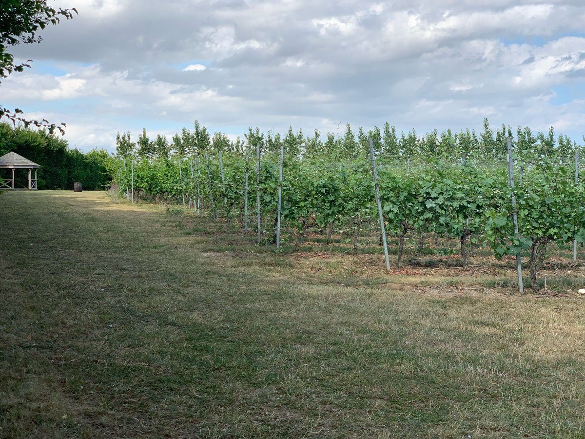 A huge thank you to everyone who came to support us during English Wine Week, it has been absolutely amazing. Once we come back down to earth, we will look back on this last week as being the most amazing one so far!

It’s now time to relax and enjoy family time, cheers 🥂