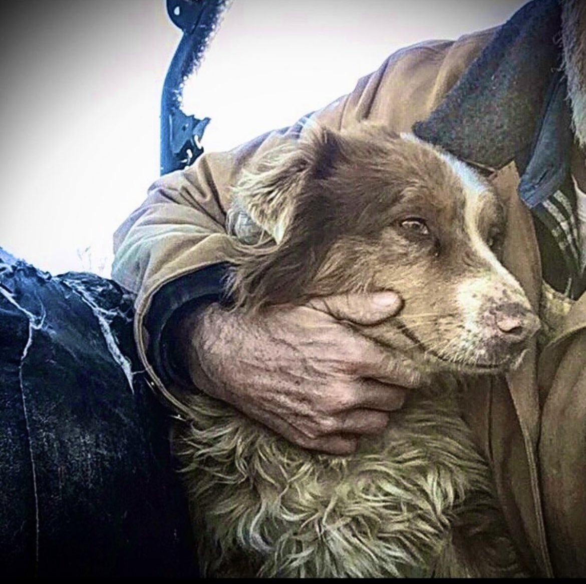 Cattleman🪓 tweet media