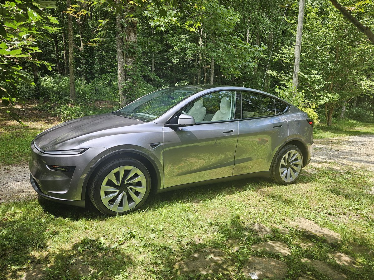 Honky Stonk tweet media