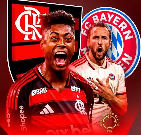 Nathan Brener tweet media