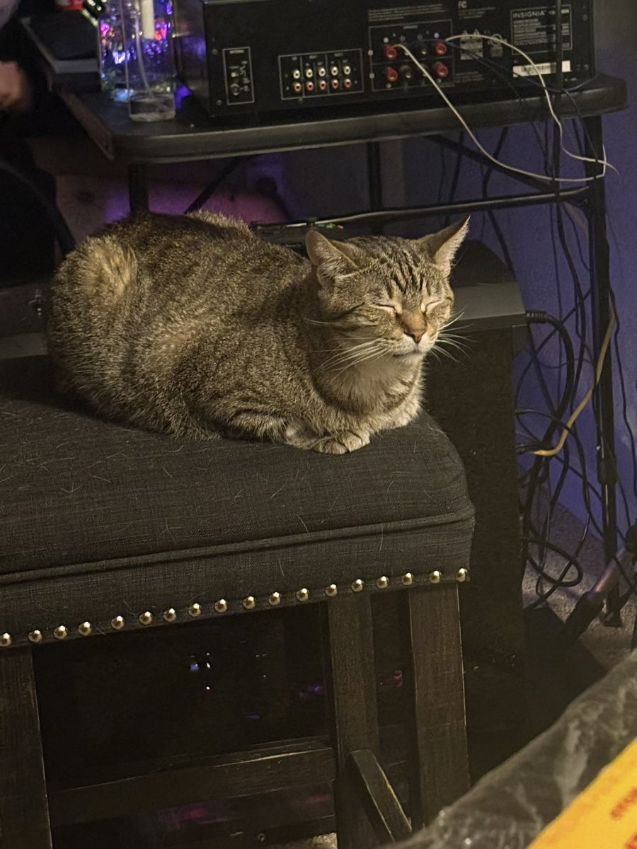 jaydamonaeee's tweet photo. very important news - misha is cute https://t.co/zza3OeZvrP