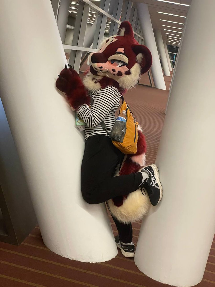 Monstirque's tweet image. See me at Anthrocon?
DO:
✅️ask for a hug
✅️ask for stickers
✅️ask to to take a pic
✅️chat with me

See yall there!