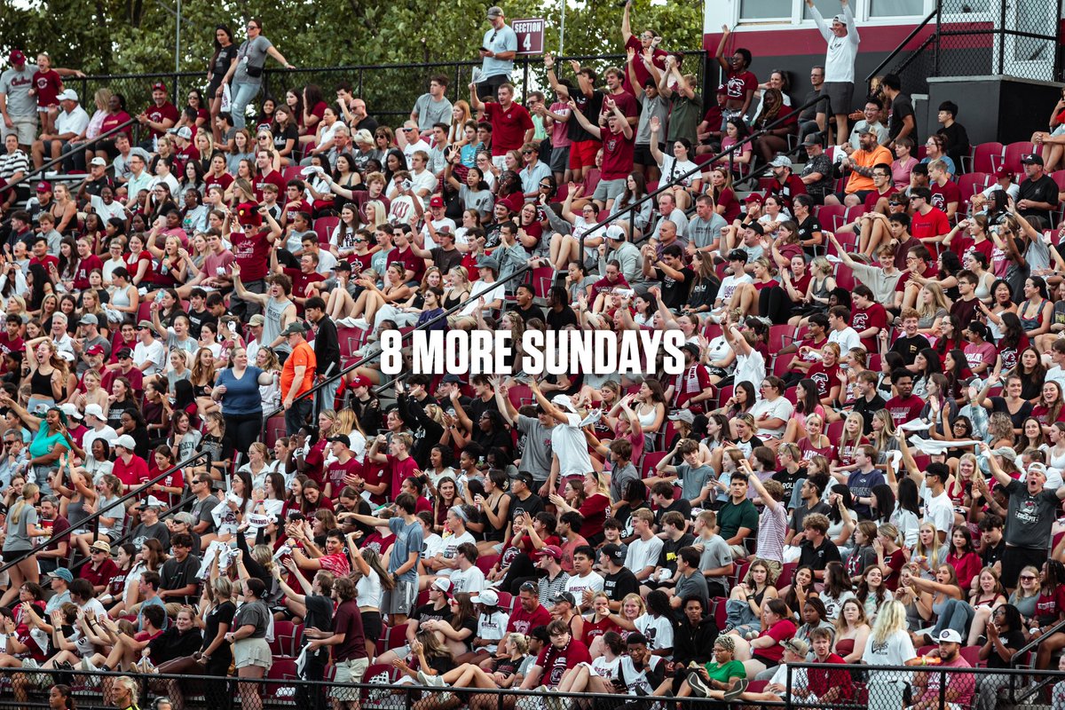 GamecockWSoccer's tweet image. 8 more Sundays until we see Gamecock Nation back in Stone Stadium 🤩