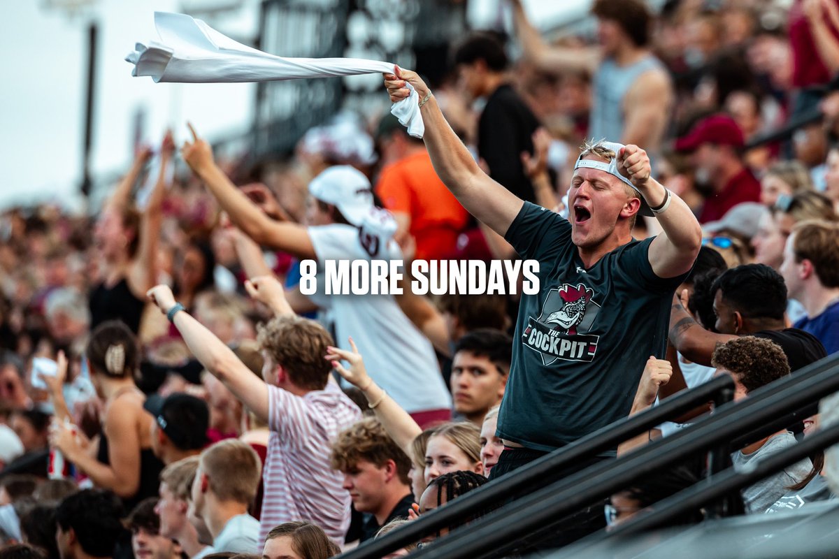 GamecockWSoccer's tweet image. 8 more Sundays until we see Gamecock Nation back in Stone Stadium 🤩