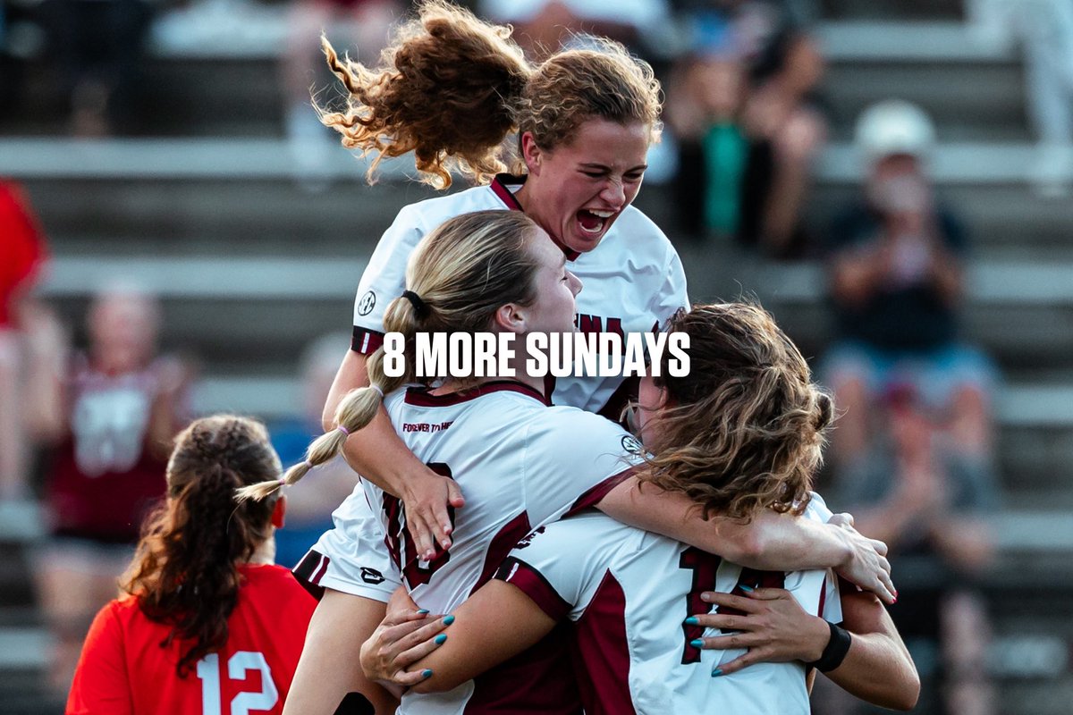 GamecockWSoccer's tweet image. 8 more Sundays until we see Gamecock Nation back in Stone Stadium 🤩