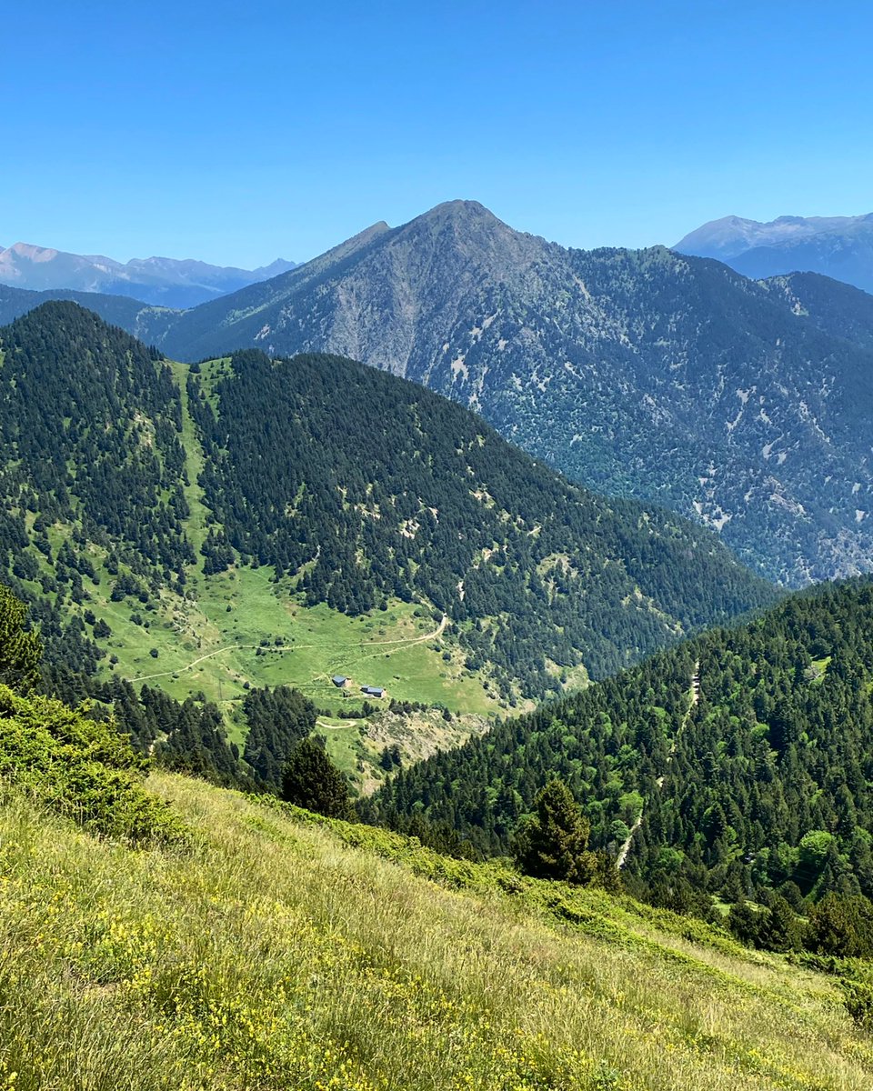 PREVISIÓ ☀️🌤️⛈️⚡️⛈️⛈️⚡️⛈️⚡️ Dilluns i dimarts amb calor molt contundent, però amb una novetat, retornen les fortes tempestes de tarda!
Proper cap de setmana podria fer fins i tot fresca!
🎧 Tots els detalls i l’àudio complet aquí 👉 meteopirineuscatalans.com/previsio/