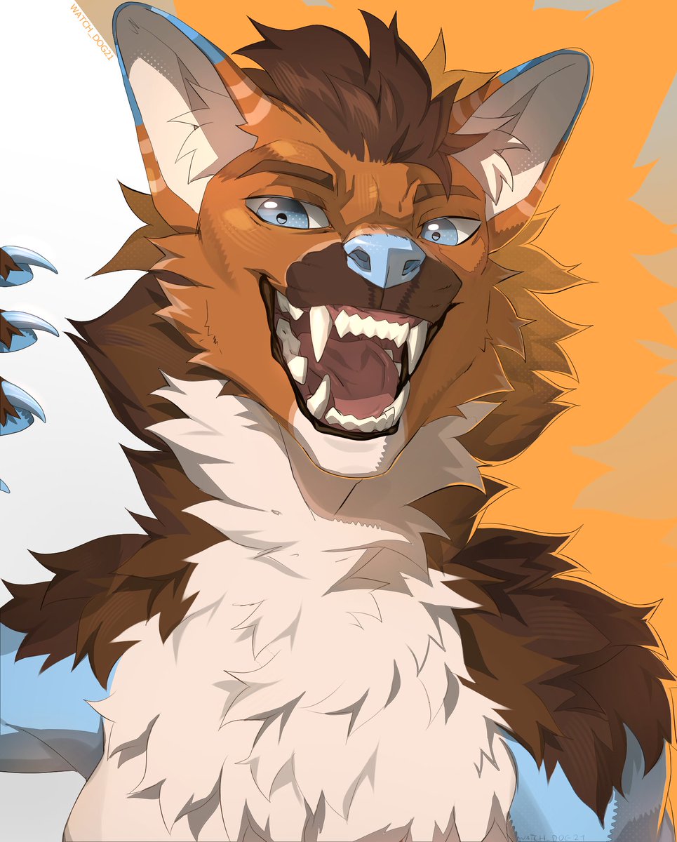 Watch_dog21 tweet media