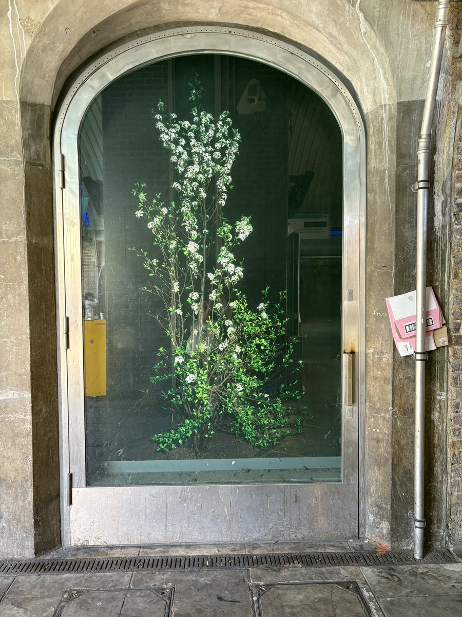 Do you ever notice this? 

It’s at Shadwell DLR station and is an unexpected delight to look at