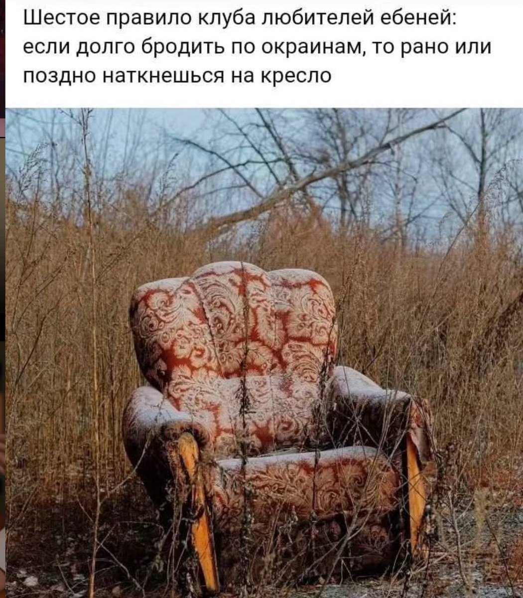 Gribanov ☢ ᓚᘏᗢ (@gribanov) on Twitter photo 