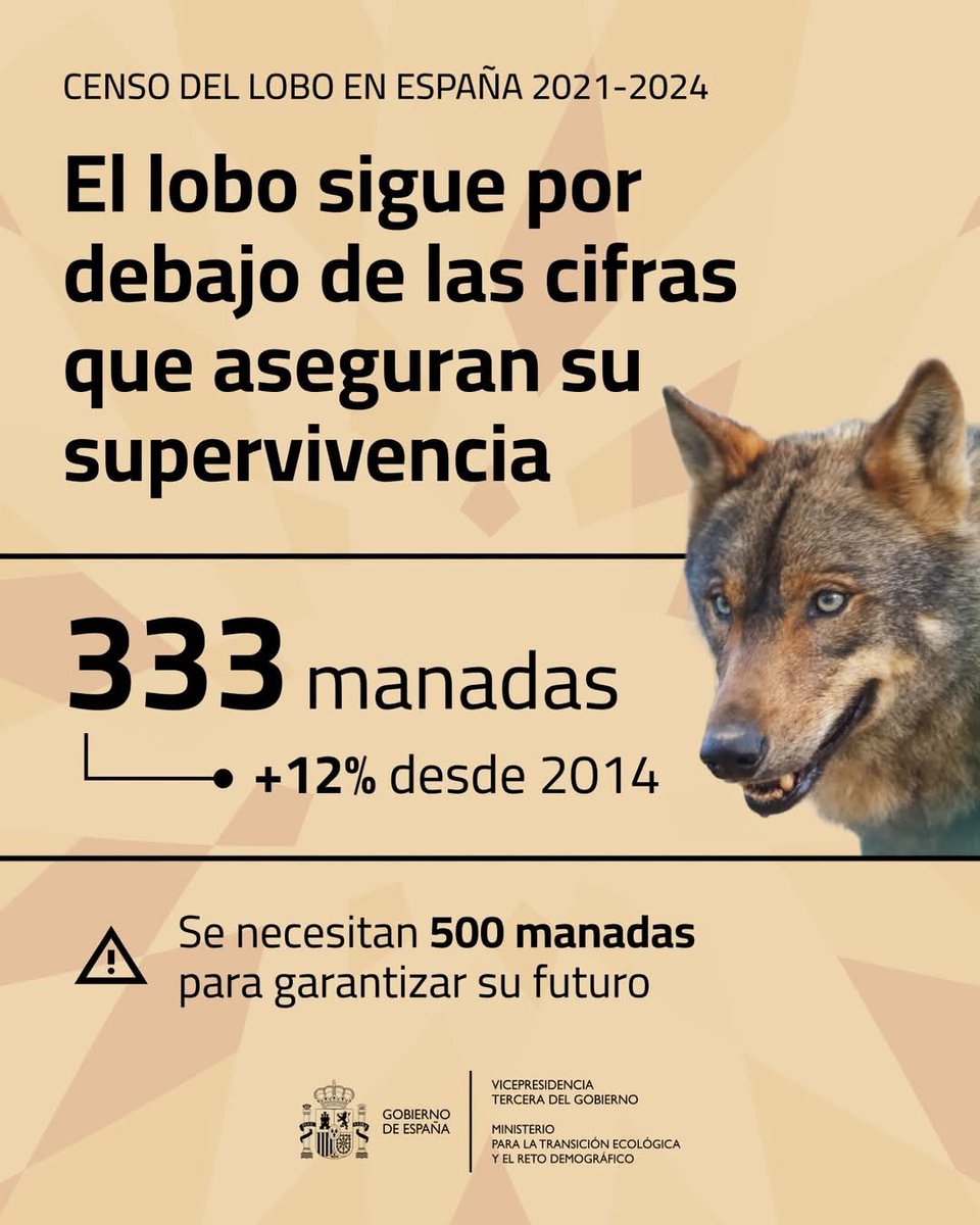 Si el #lobo sigue por debajo de las cifras que aseguran su supervivencia ¿por qué no se incluye directamente en el Catálogo Español de Especies Amenazadas, con la categoría de "vulnerable" <a href="/mitecogob/">Transición Ecológica y Reto Demográfico</a>? 👇🏻
x.com/mitecogob/stat…