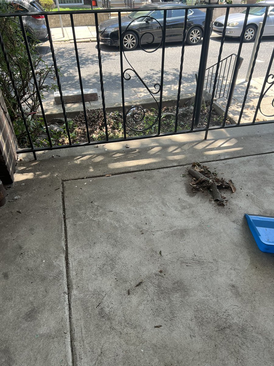 pendlet3's tweet image. Put on the sauna suit take advantage of this heat, losing 5 pounds doing yardwork you’re stretching your bending you’re working your whole entire body and getting the best sweat of your life. Take your fat burners. Do your detox put your suit on and afterwards take a ice bath