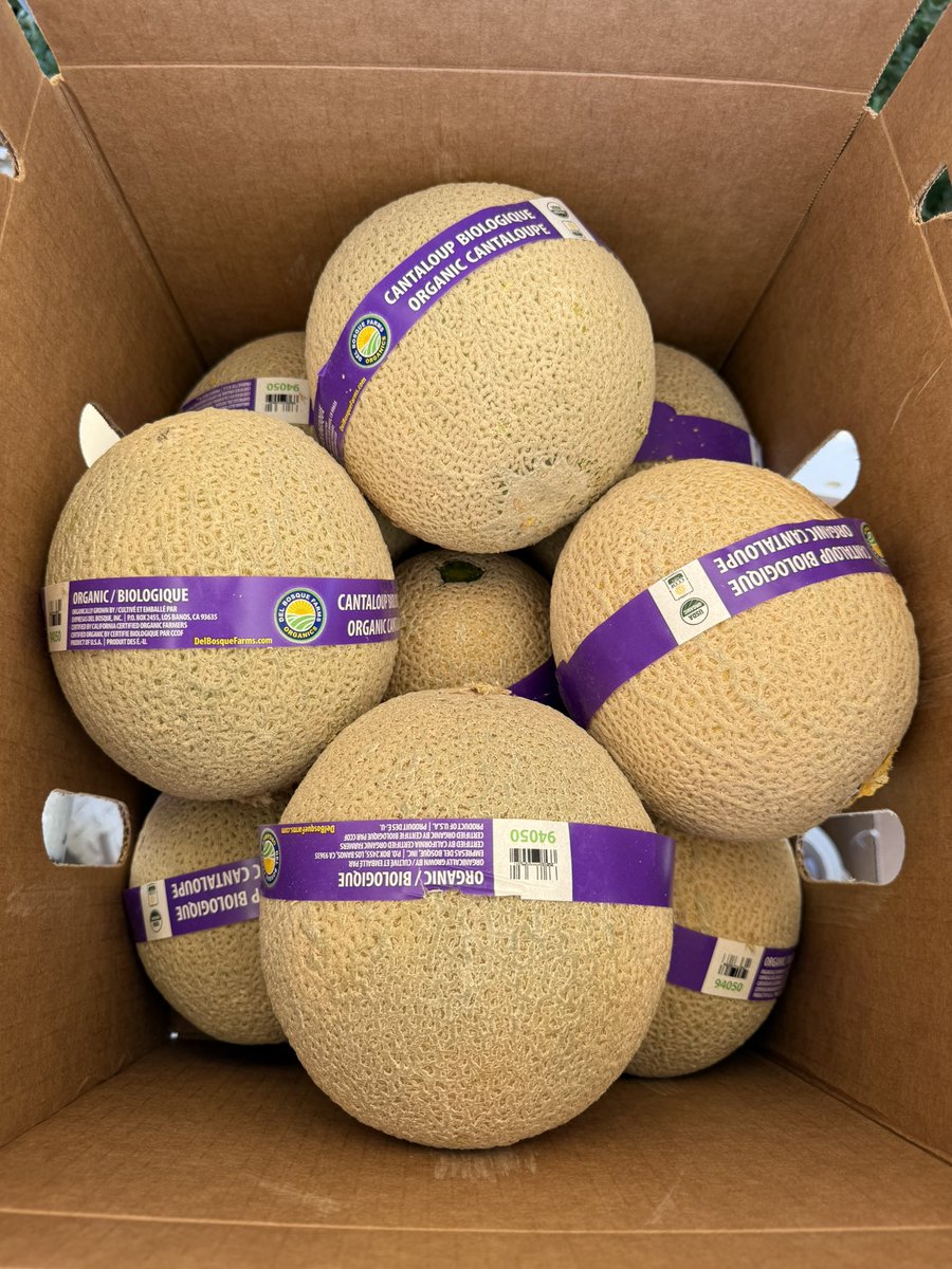DelBosqueFarms's tweet image. If you shop at @Publix Super Markets, these sweeties are coming your way! Organic cantaloupes and honeydews. From our sunny California farm. We pick them vine-ripened all summer.