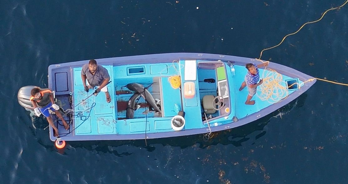 thresher tweet media