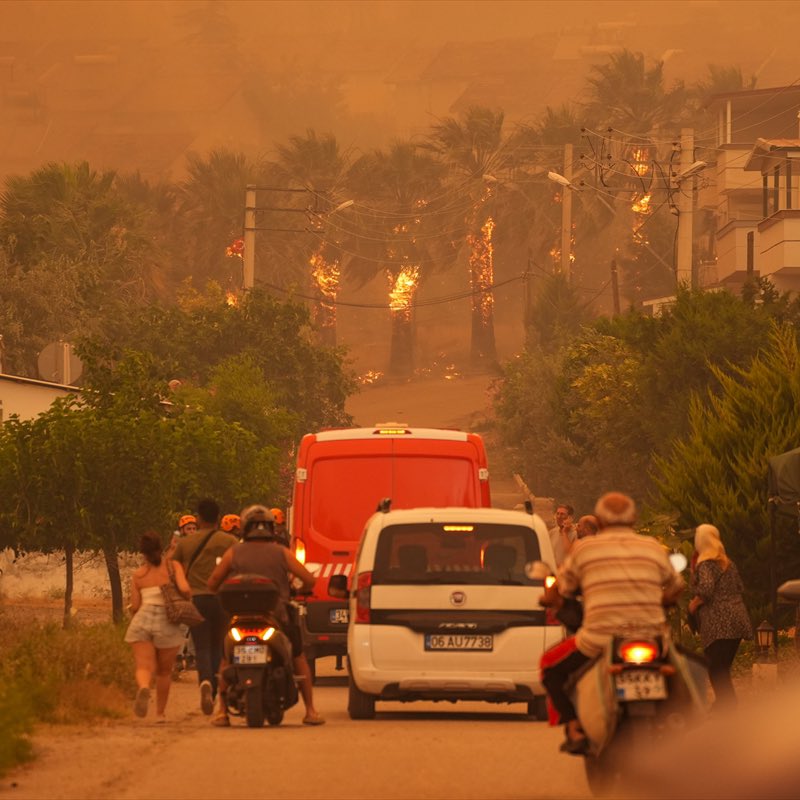 Dünyanın en kötü şeylerinden bir tanesi, bir insanın cahillik akılsızlığı yüzünden onlarca canlı yok oluyor, onlarca insan evinden malından oluyor....

#Seferihisar #izmiryanıyor