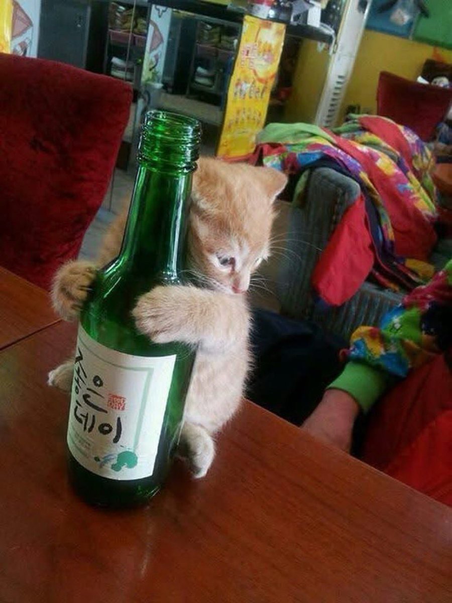 kihlmoolah's tweet photo. @salmonbagel__ this u https://t.co/pS8xsR9NXT