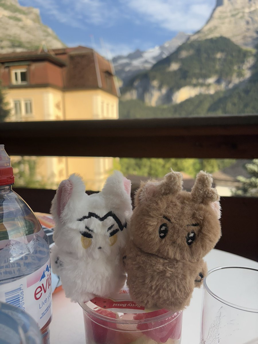 크초랑 흑당이랑 같이 설산뷰에서 밥 먹기