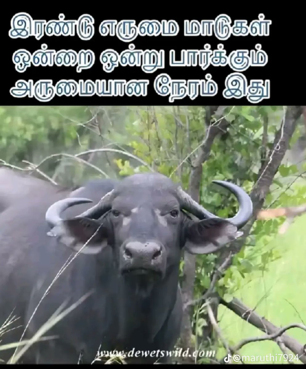 vt.tiktok.com/ZSBLbV2aN/