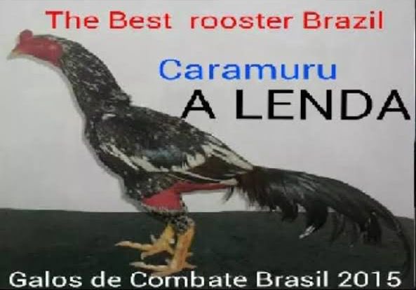 Fallzin3's tweet photo. @DonaldTunp75739 NAAAAAAAAAAAAOOOOO O CARAMURU 😭😭😭😭😭😭😭 https://t.co/wJGgHWGzbm