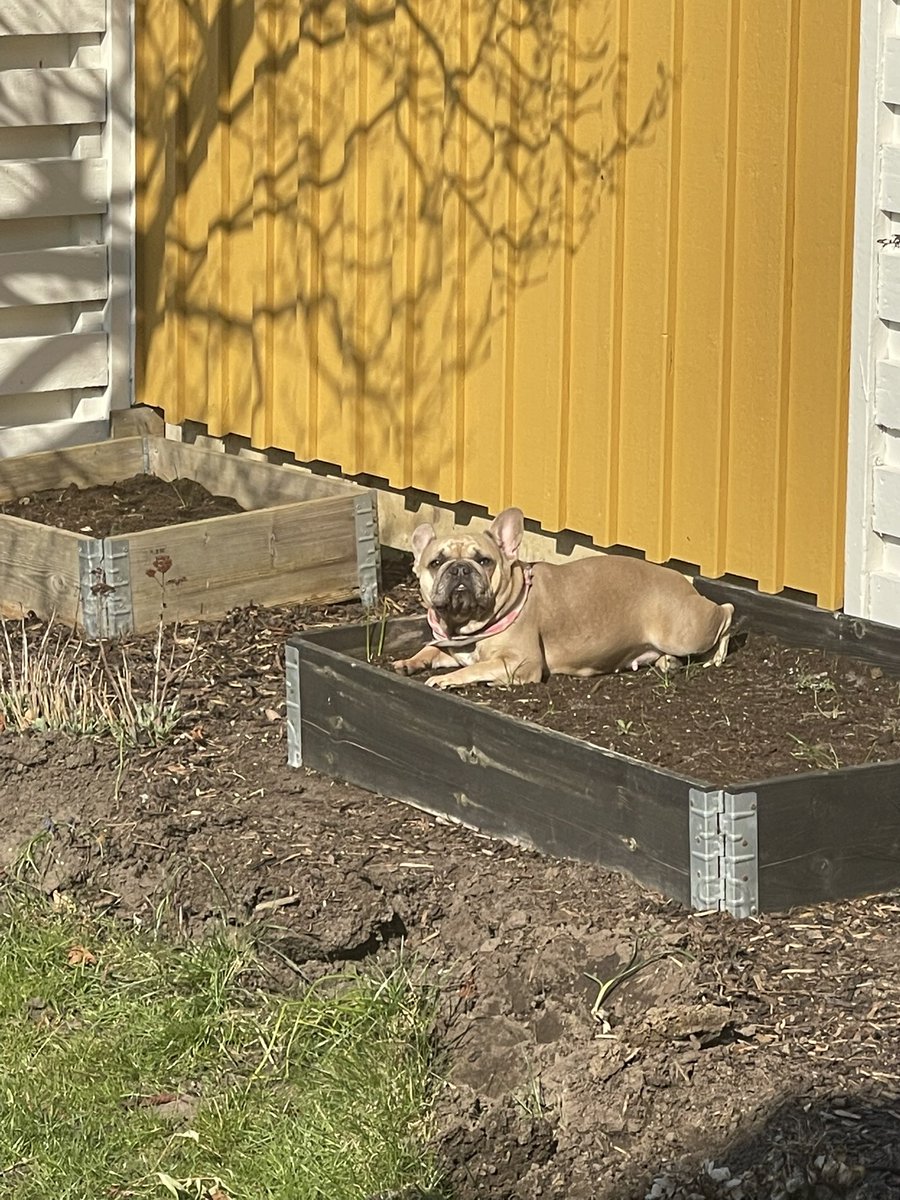 Mårten Möller tweet media