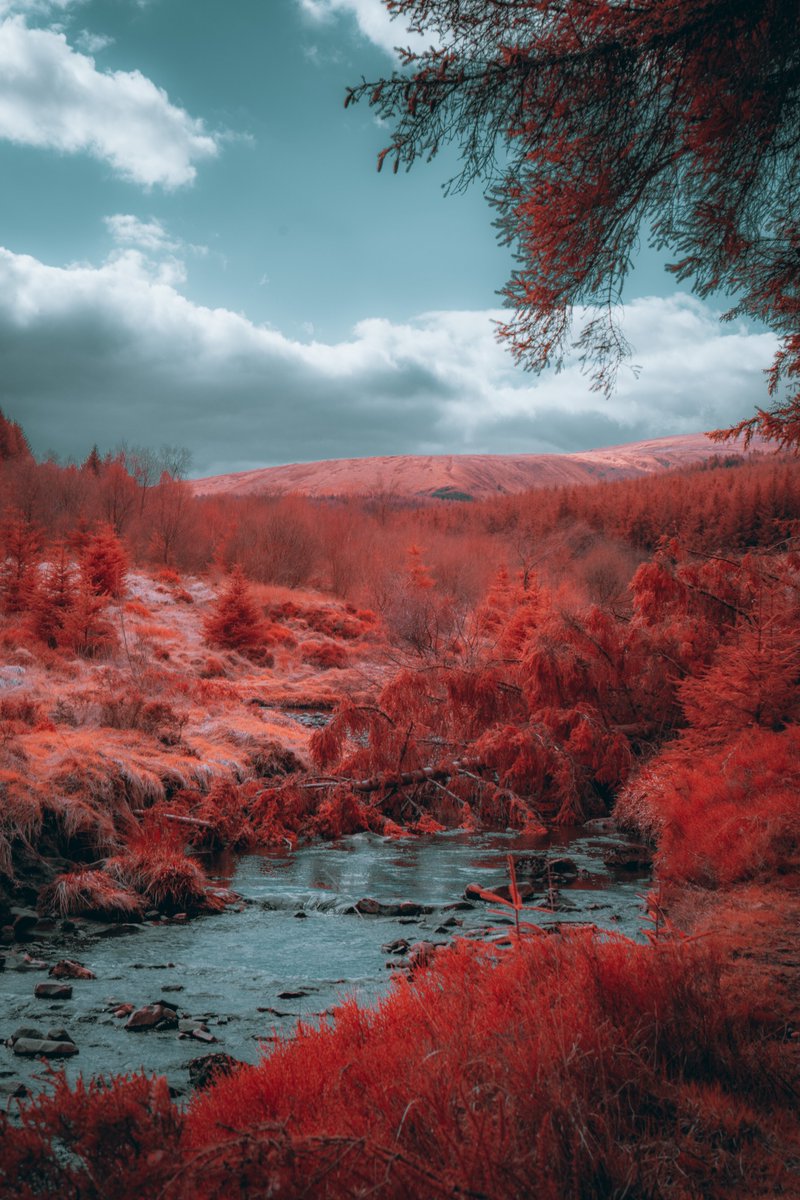 Dabbling in the IR Life