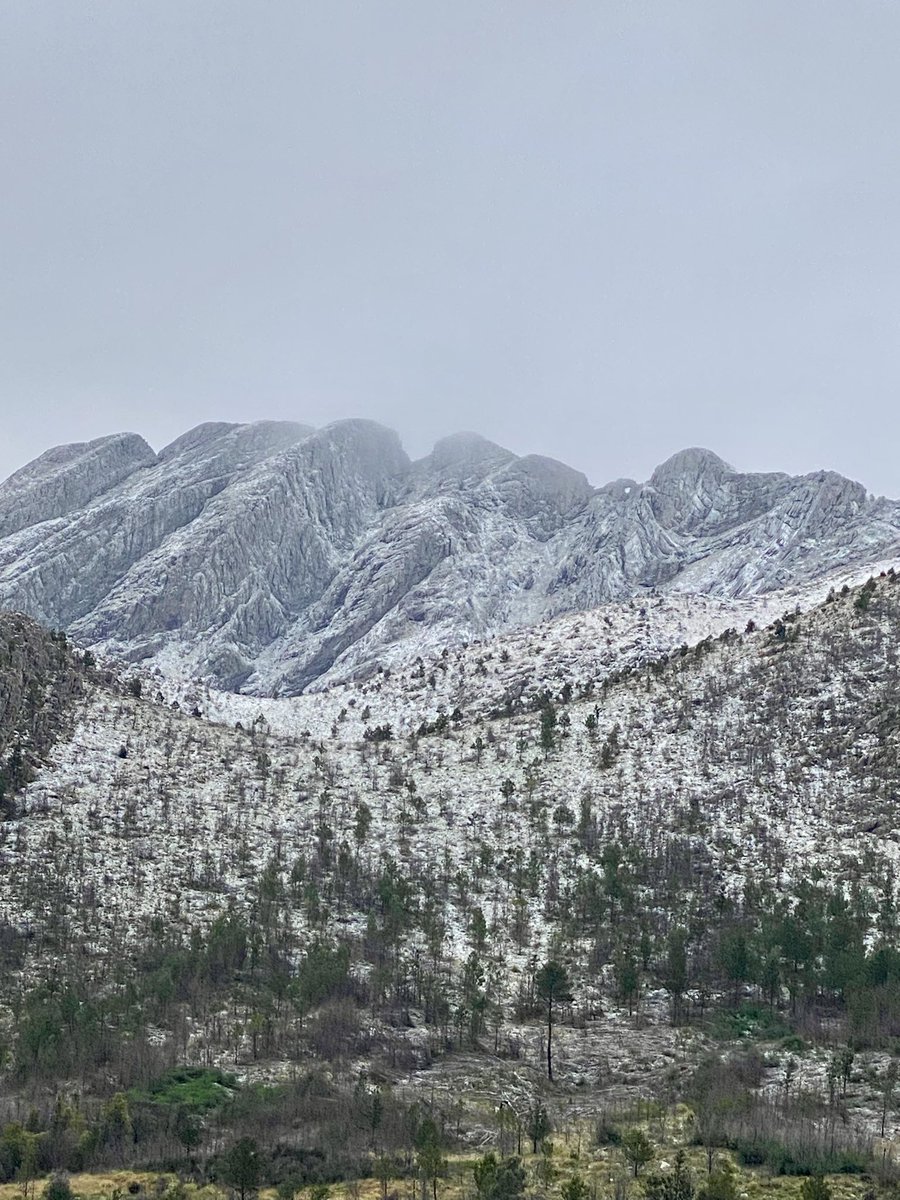 CanieteJuan's tweet image. Anoten. El 1/7 entra en vigencia en nuevo contrato de #FatimaFlores . Mientras tanto los indicadores de consumo, empleo, turismo, reservas y economías regionales  van en caída libre. #CortinaDeHumo #BuenDomingo con #Nieve en #SierraDeLaVentana