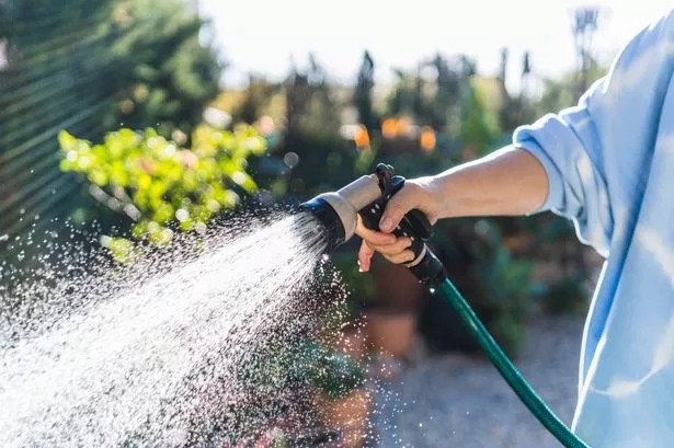 cole60971's tweet photo. The Name of The Garden Hose
#HeatwavesAndHardbacks https://t.co/c0XvoPpnKY