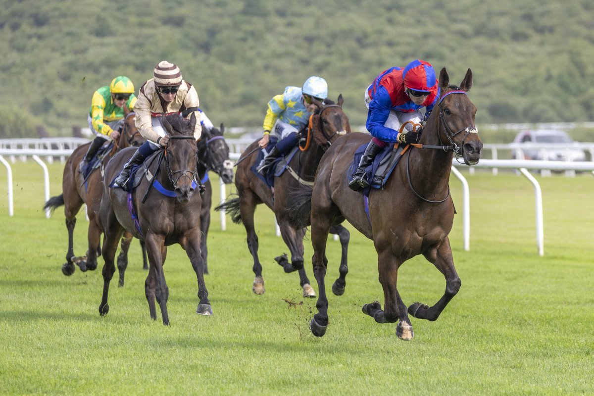 Ffos Las Racecourse (@ffoslasrc) on Twitter photo A double for trainer <a href="/DaveLoughnane_/">DaveLoughnaneRacing</a> with 8-13f Beaming Light and <a href="/oismurphy/">Oisín Murphy</a> winning our 6th race - again sponsored by <a href="/DragonBetWales/">DragonBet</a> A double for trainer <a href="/DaveLoughnane_/">DaveLoughnaneRacing</a> with 8-13f Beaming Light and <a href="/oismurphy/">Oisín Murphy</a> winning our 6th race - again sponsored by <a href="/DragonBetWales/">DragonBet</a>