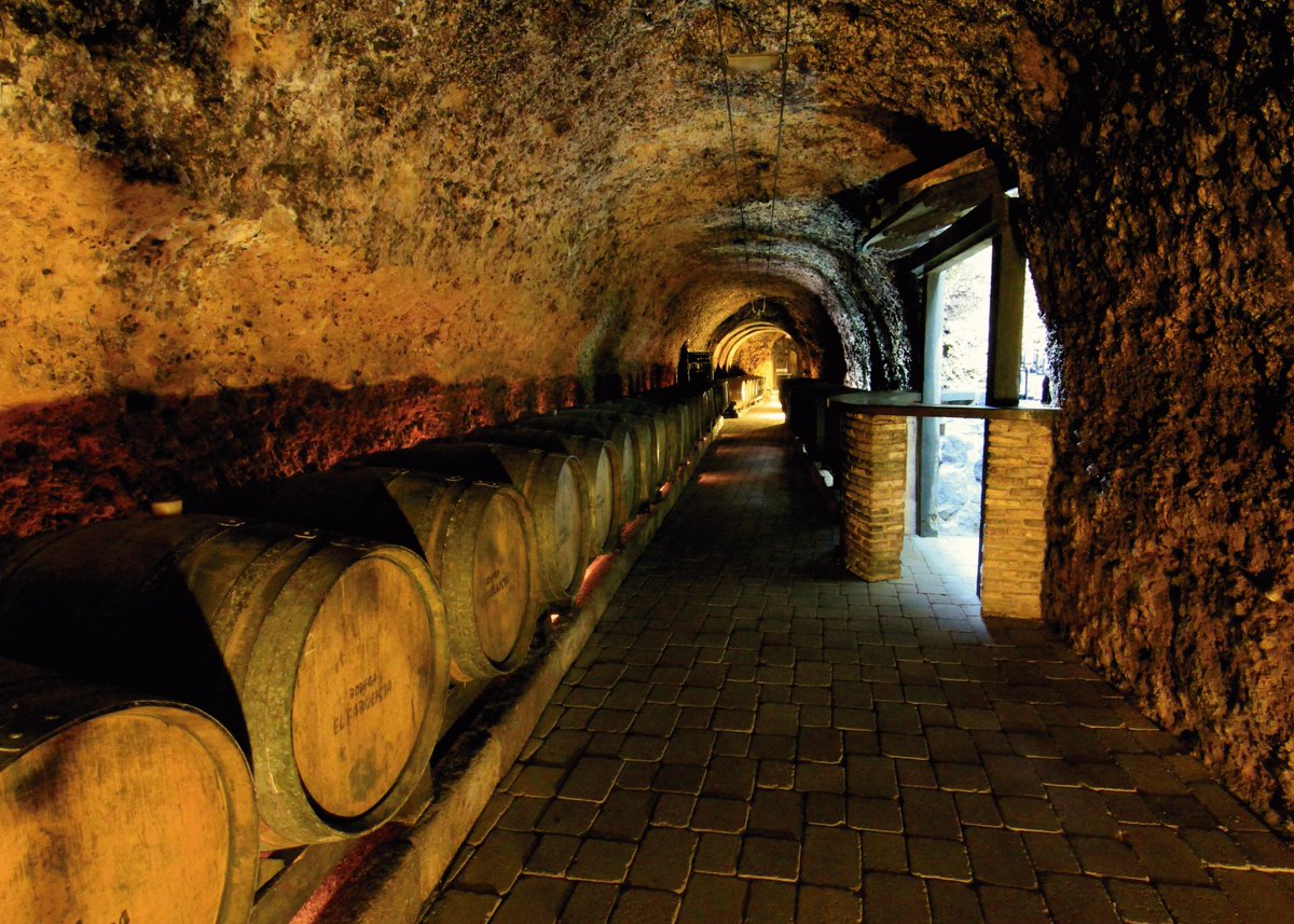 RiojaAlavesa's tweet image. ¿Has estado alguna vez en un #calado?
En tu próxima visita a #RiojaAlavesa, no olvides mirar... bajo tierra 😉

Reserva tu experiencia en un calado en nuestra web 👉visitriojaalavesa.com/experiencias/