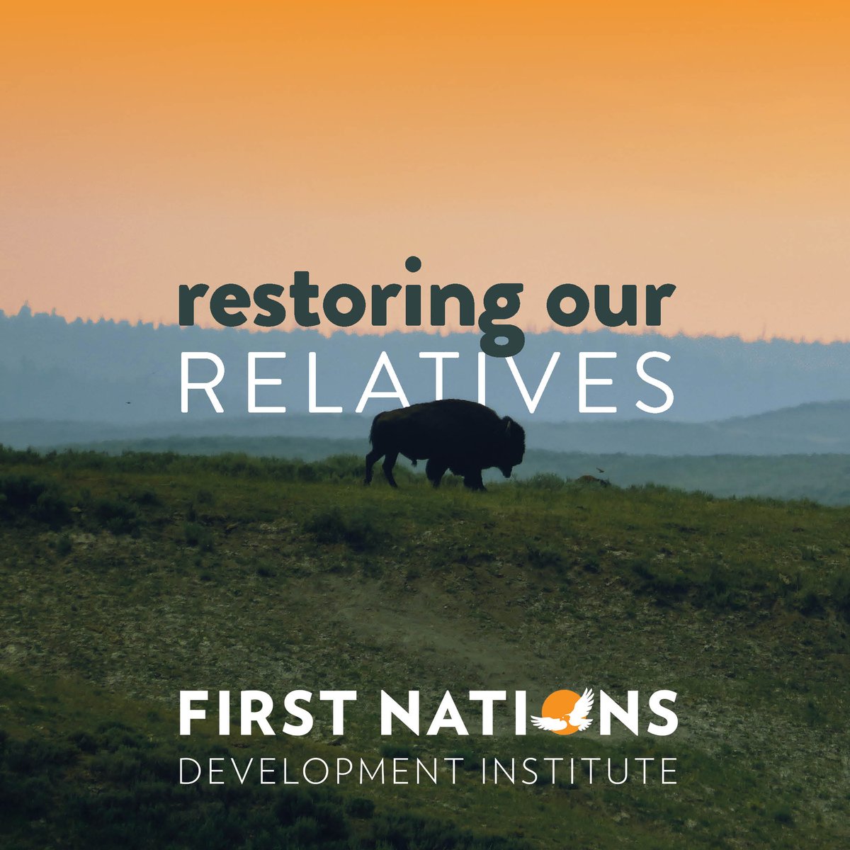Through our Restoring Our Relatives grant opportunity, up to 15 Tribes and Native-led organizations working to restore Native species will be awarded $25-$50K each.

➡️ Apply by 7/16: bit.ly/4lqREyn

➡️ Questions? Attend the Q&amp;A webinar on 7/1: bit.ly/3GnUxkG